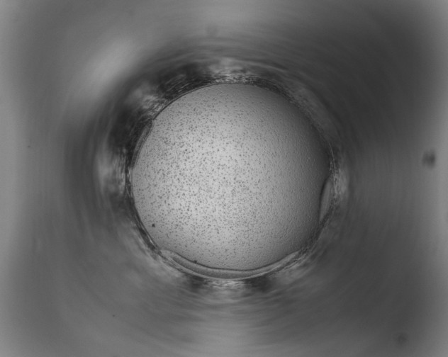 X0000108480429200904241305