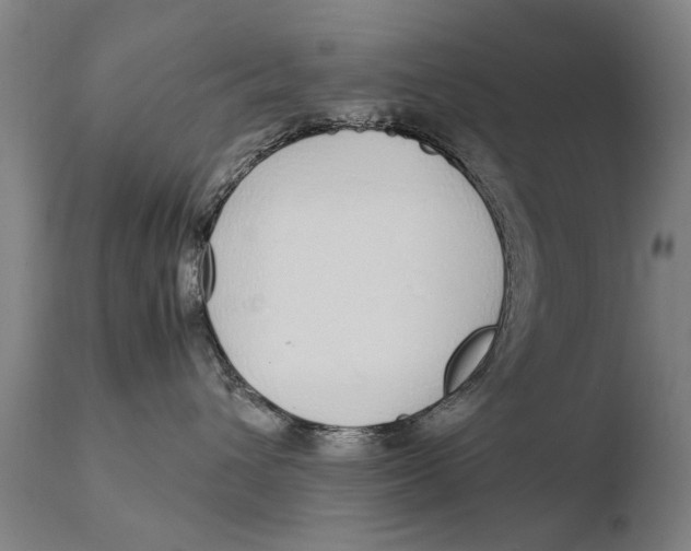 X0000108480432200904241305