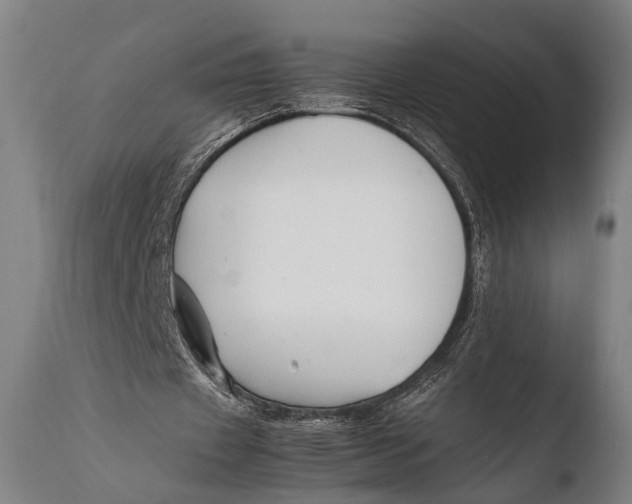 X0000108480433200904241304