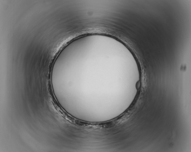 X0000108480434200904241304