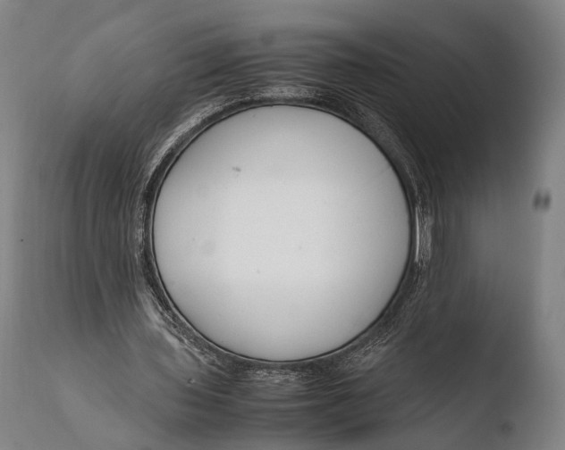X0000108480435200904241304