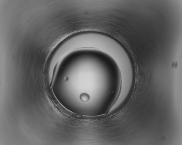 X0000108480436200904241304