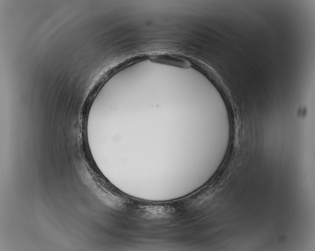 X0000108480439200904241304