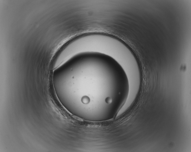 X0000108480440200904241304