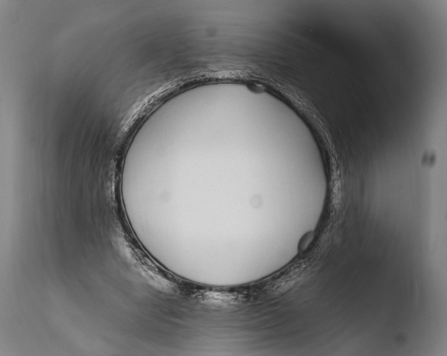 X0000108480442200904241304