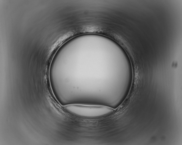 X0000108480443200904241304