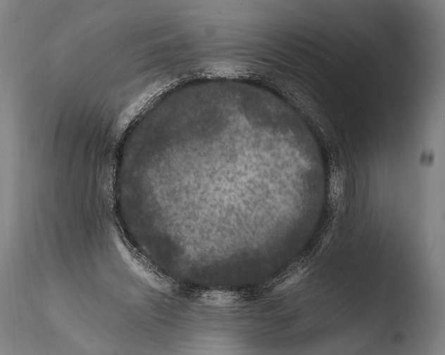 X0000108480444200904241304