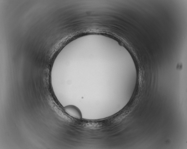 X0000108480445200904241304