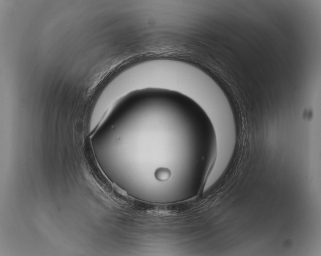 X0000108480448200904241304