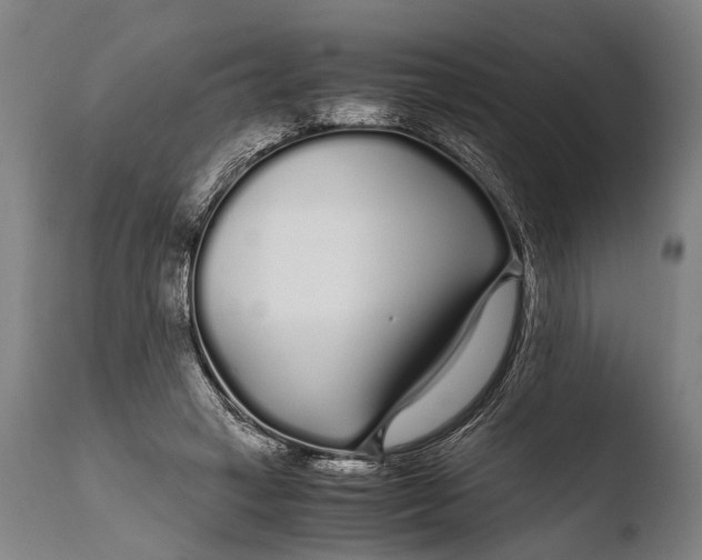 X0000108480449200904241304