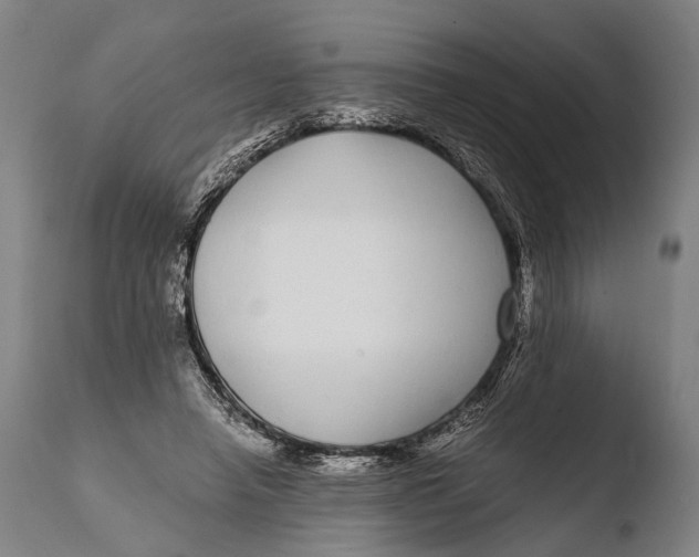 X0000108480450200904241304