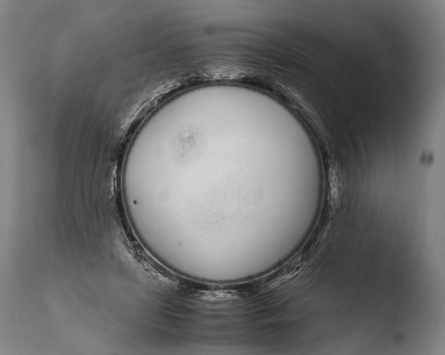 X0000108480451200904241304