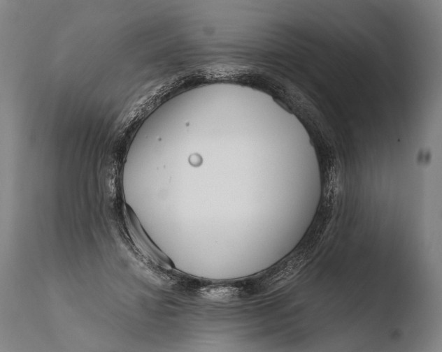 X0000108480452200904241304