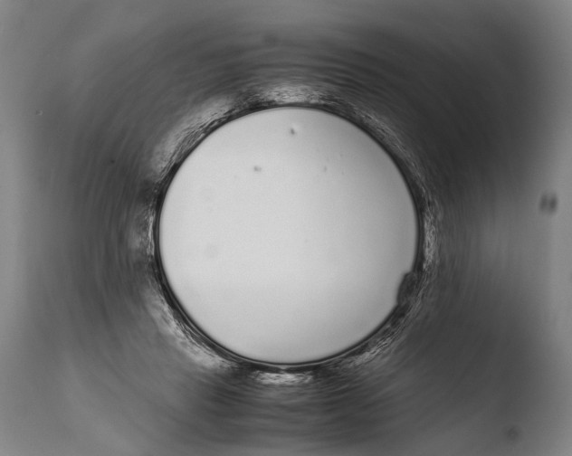 X0000108480453200904241304