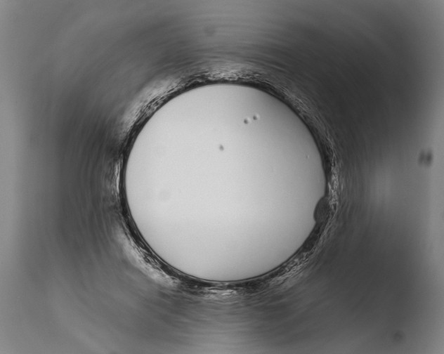 X0000108480454200904241304