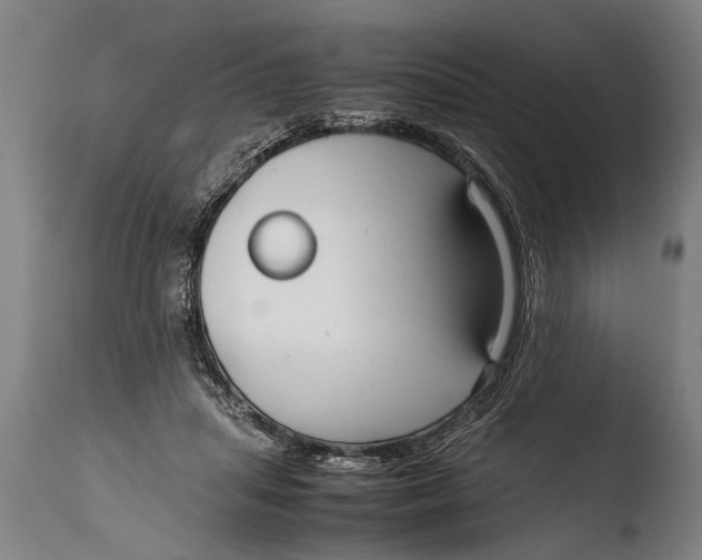 X0000108480455200904241304
