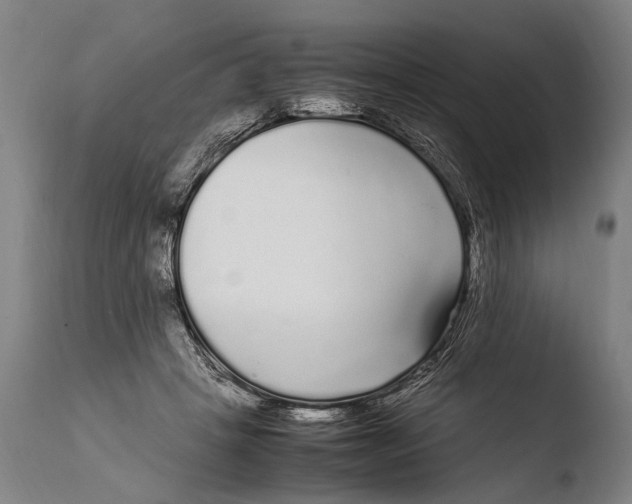 X0000108480457200904241304