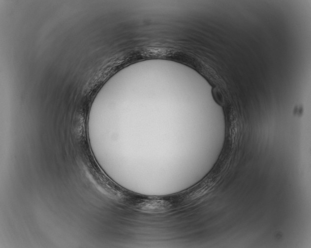 X0000108480459200904241304