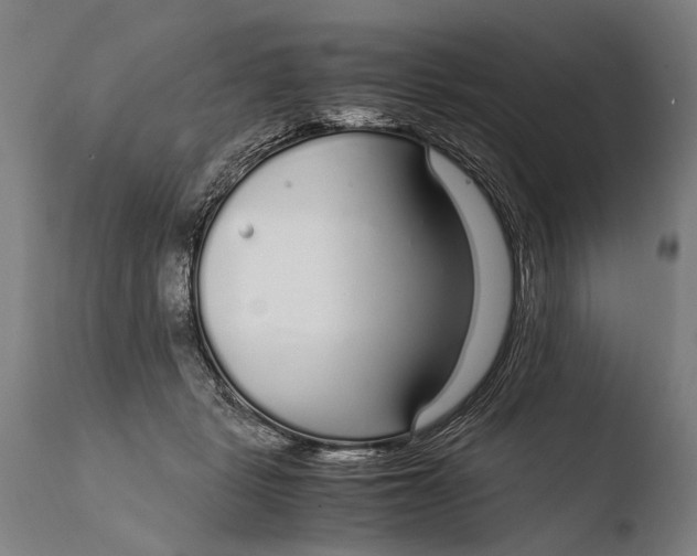 X0000108480461200904241304
