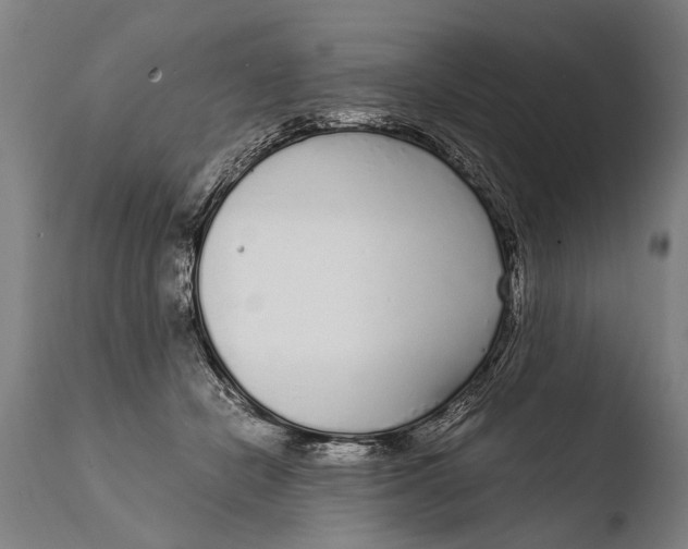 X0000108480462200904241304