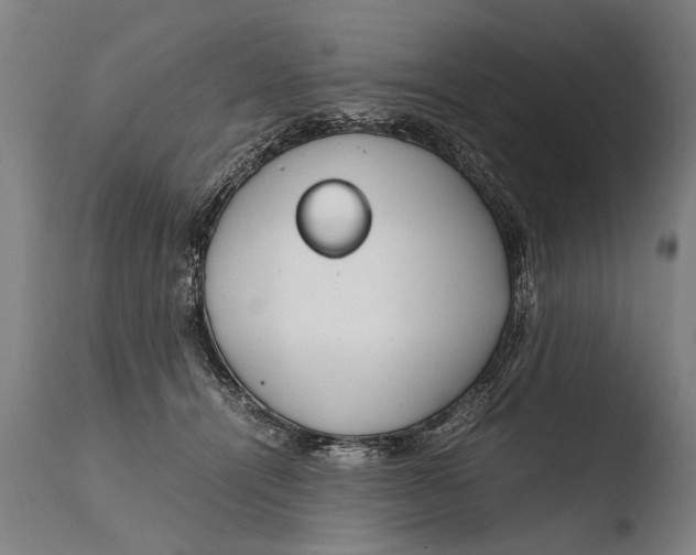X0000108480464200904241304