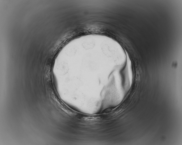X0000108480465200904241304