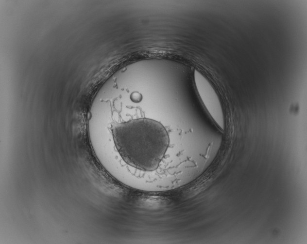 X0000108480467200904241304
