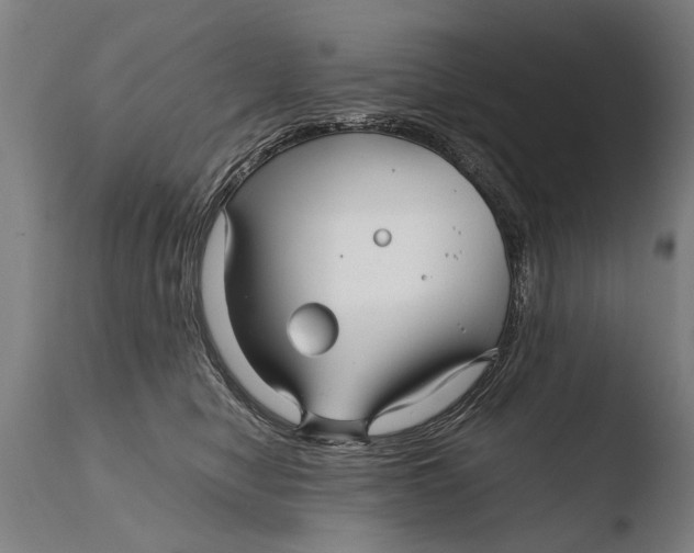 X0000108480470200904241304