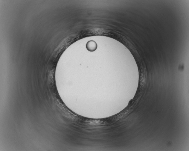 X0000108480473200904241304