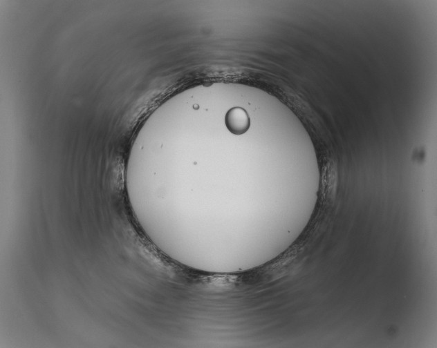 X0000108480474200904241304