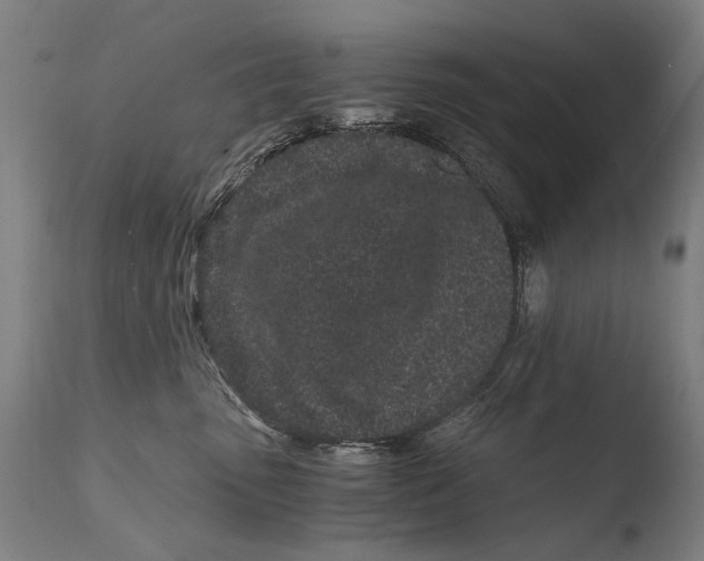X0000108480475200904241304