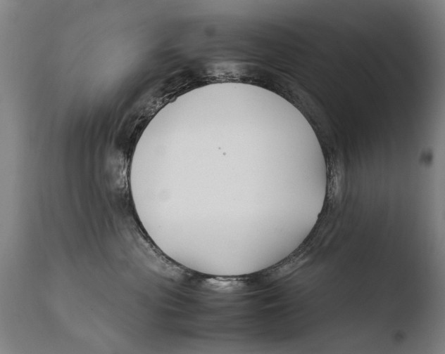 X0000108480477200904241304