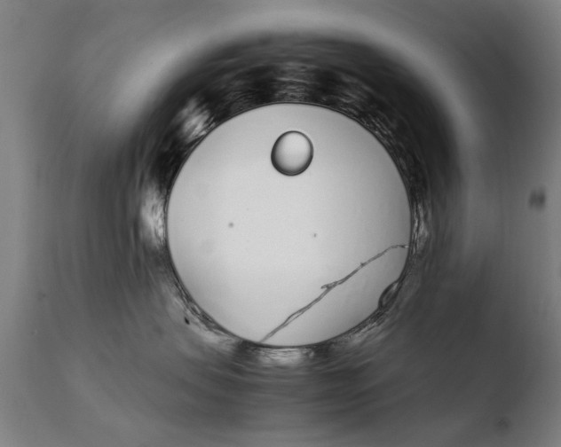 X0000108480479200904241305