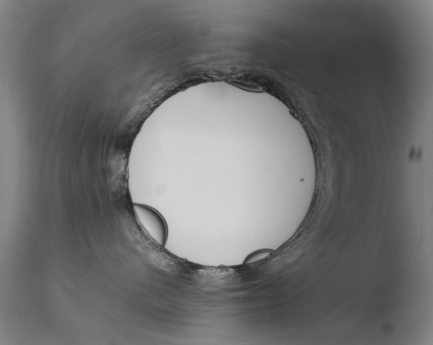 X0000108480480200904241305