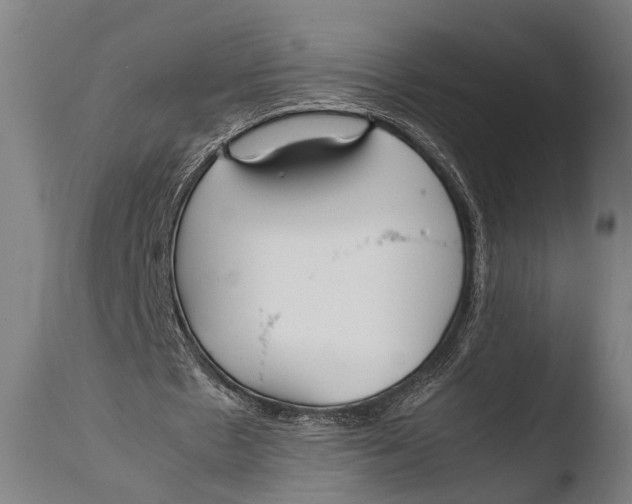X0000108480481200904241304