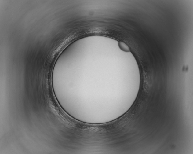 X0000108480482200904241304