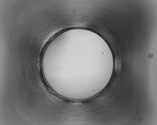 X0000108480483200904241304