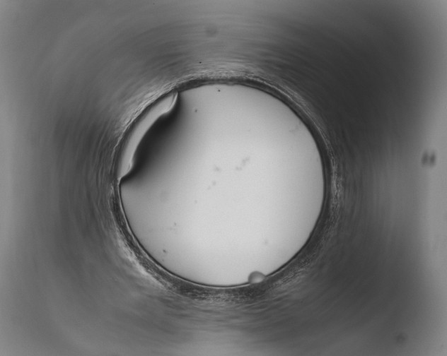 X0000108480485200904241304