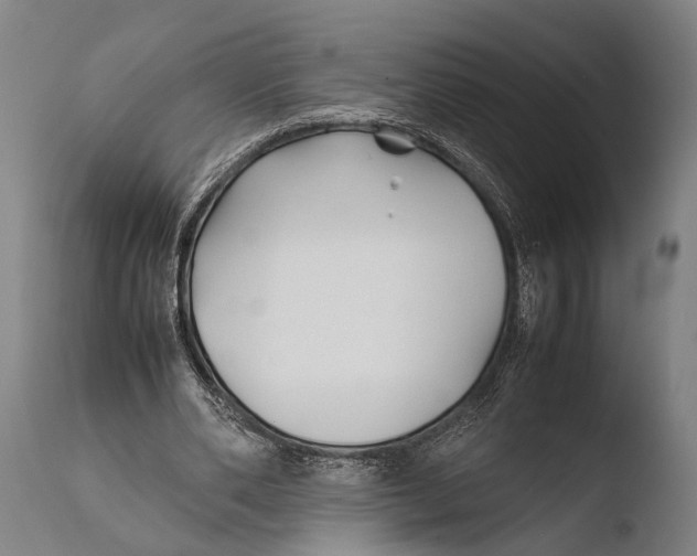 X0000108480486200904241304