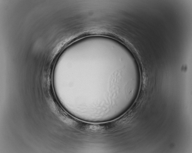 X0000108480487200904241304