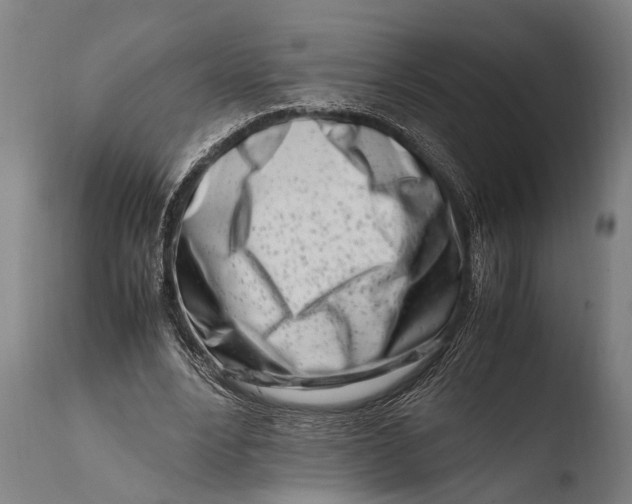 X0000108480488200904241304