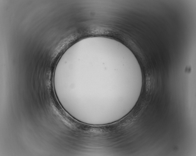X0000108480490200904241304