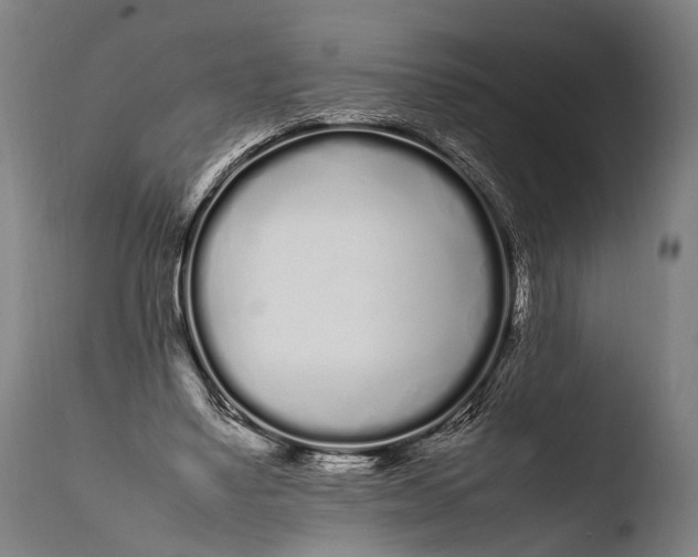 X0000108480491200904241304