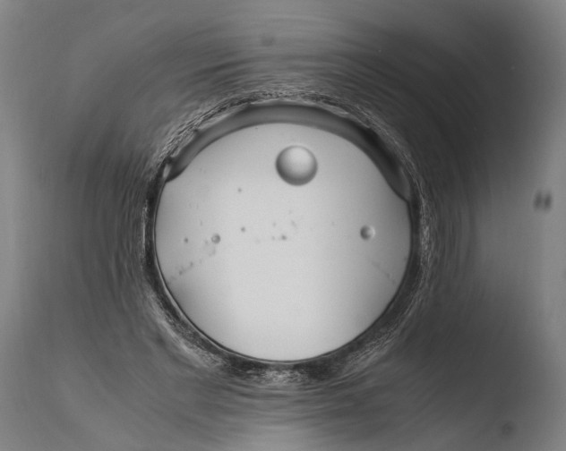 X0000108480493200904241304