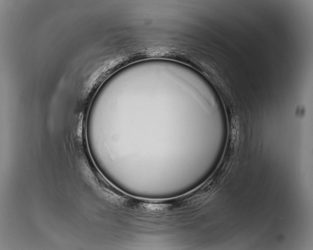 X0000108480495200904241304