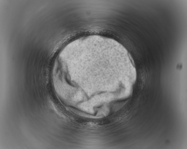X0000108480496200904241304