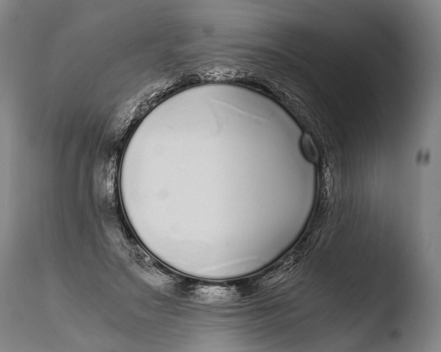 X0000108480499200904241303