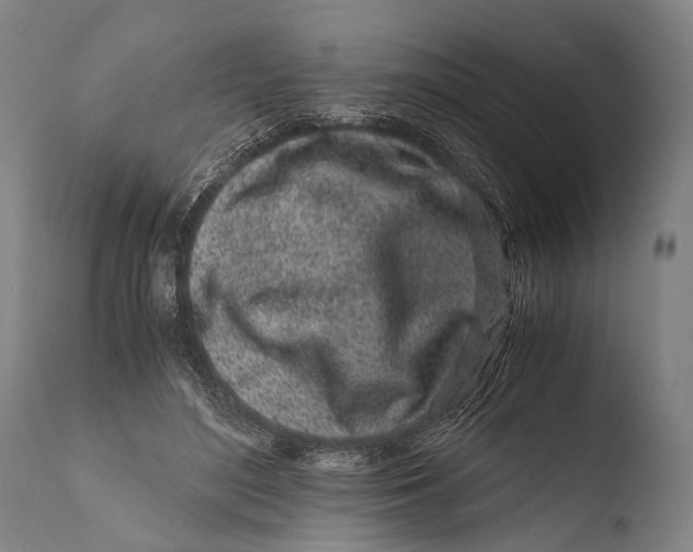 X0000108480500200904241303