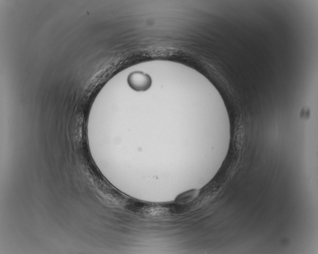 X0000108480501200904241303