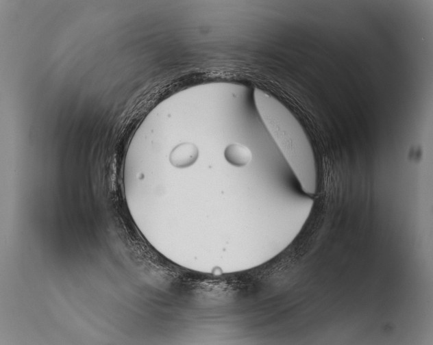X0000108480502200904241303